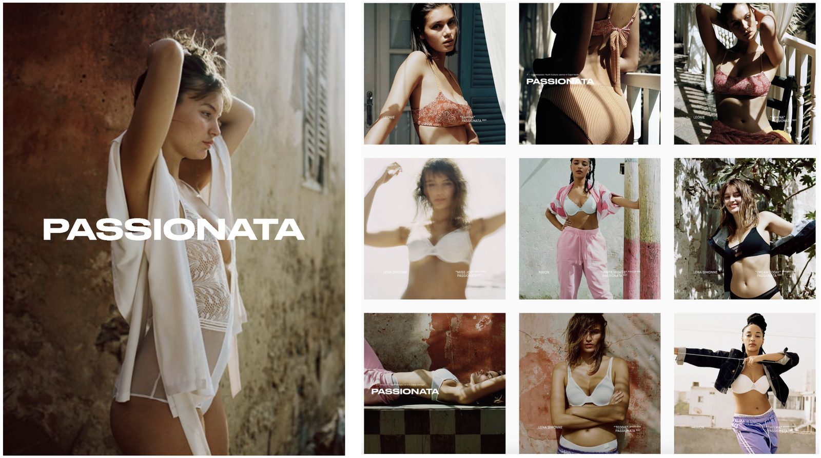 Passionata campaign grid