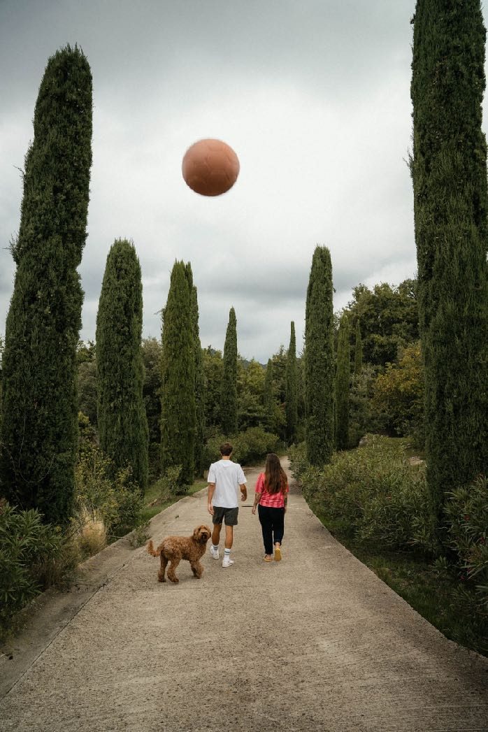 Ball in the air above a cypress avenue