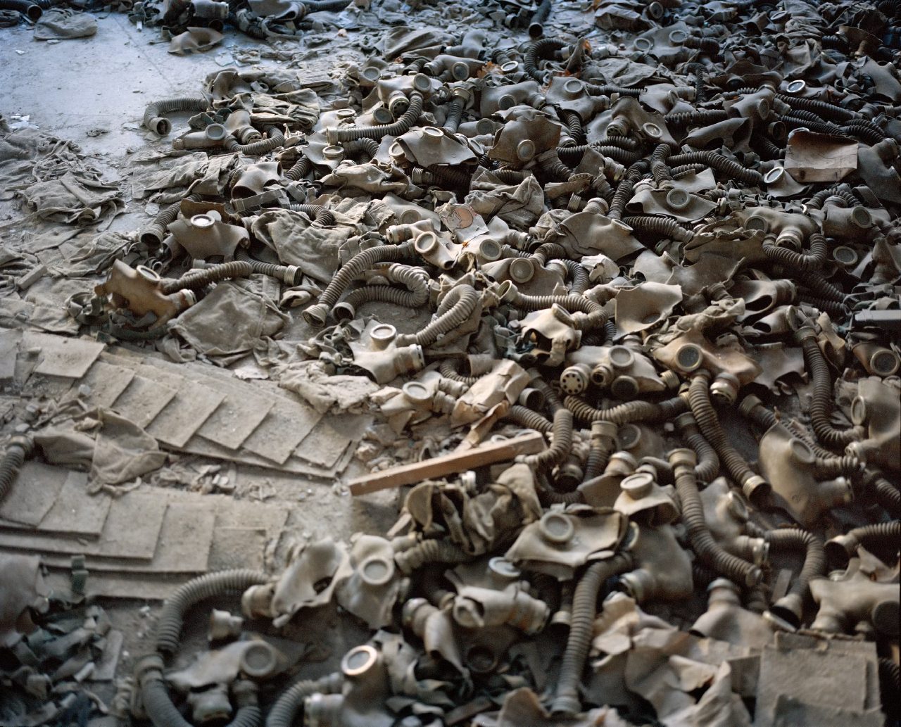 Bones
