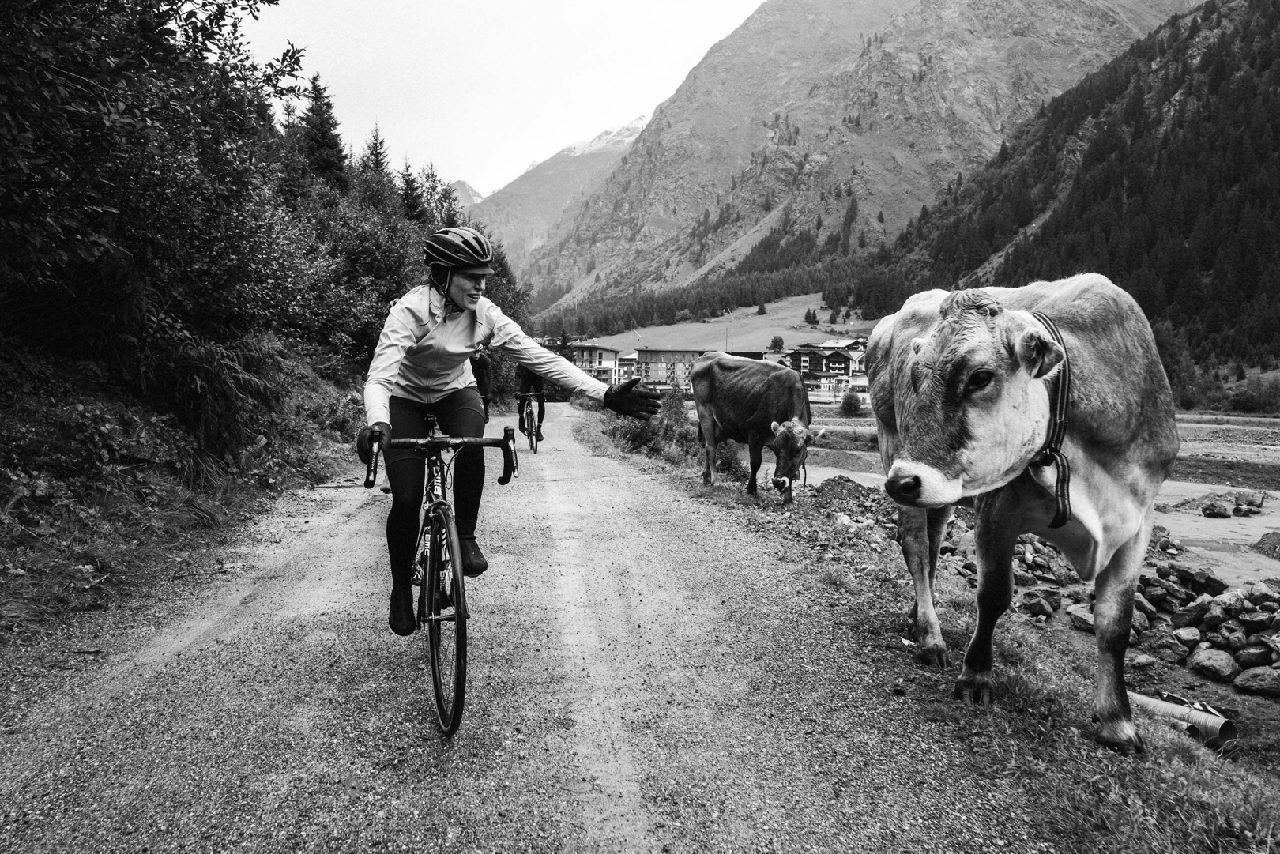 Rider passing a shepherd and his flock