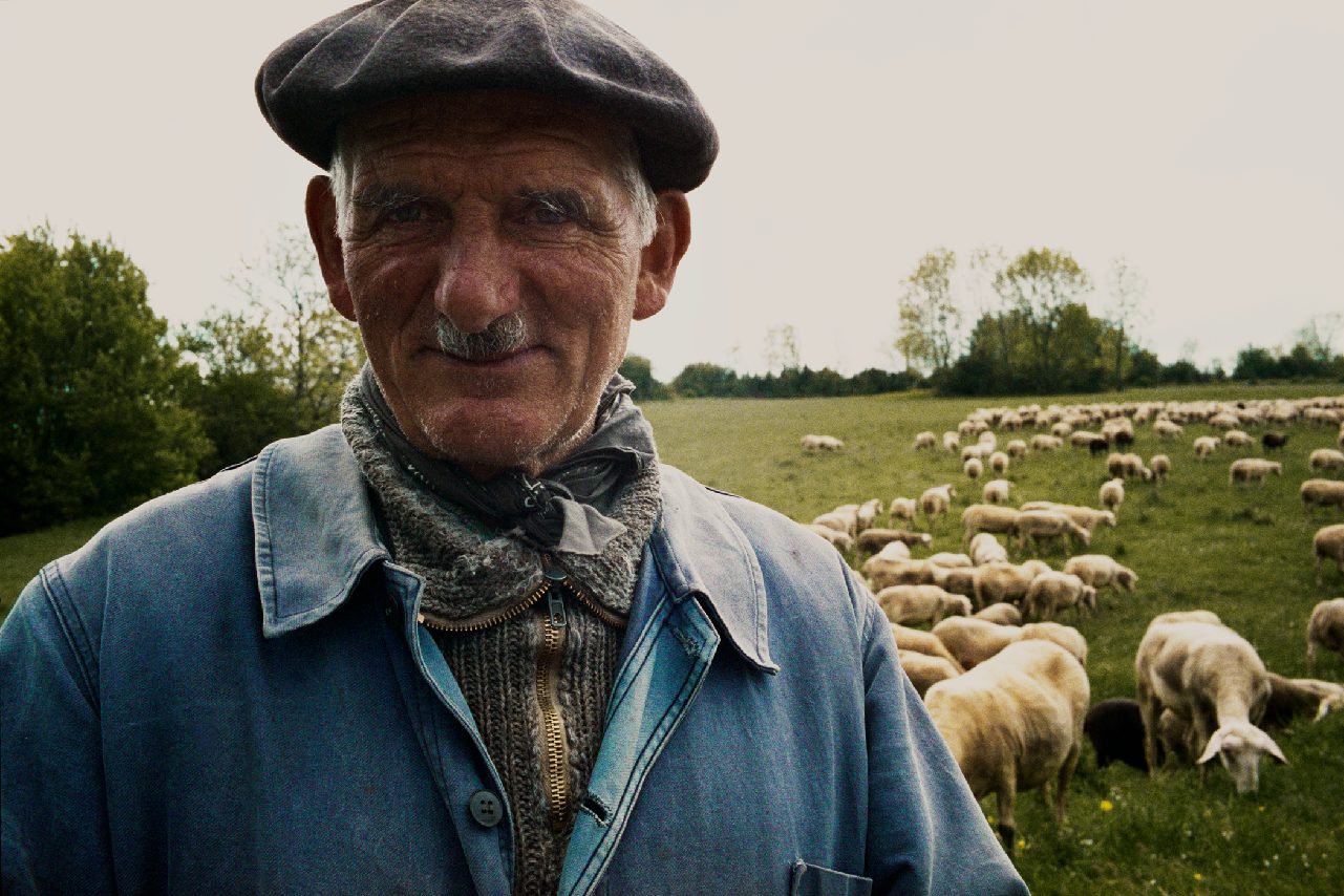 Shepherd on a mountain pass