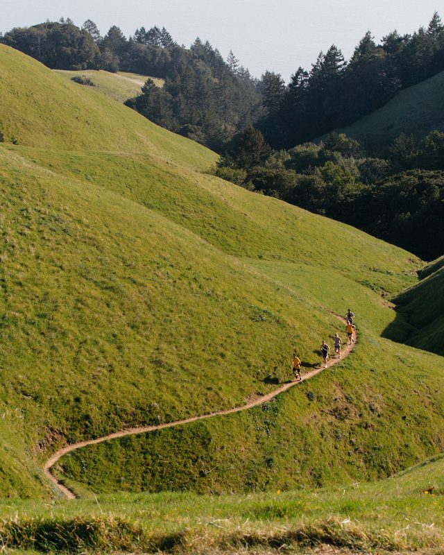Trail across green hills